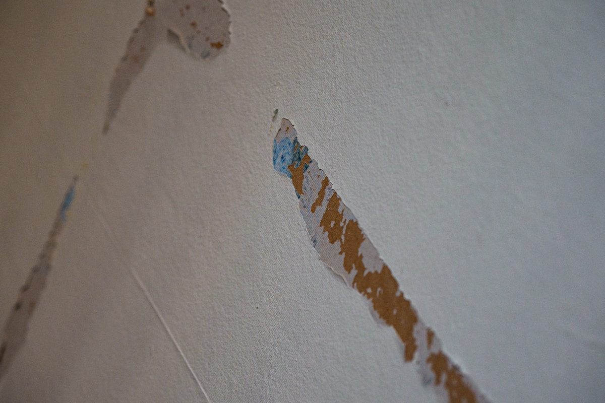 Water Extraction service in East Honolulu, HI